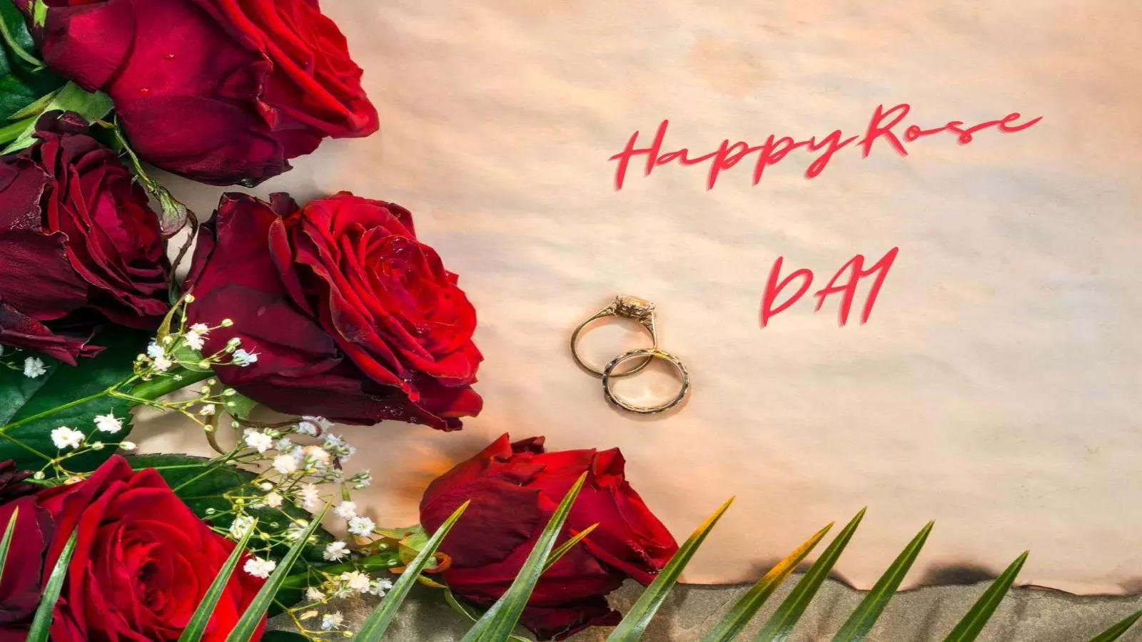 7th February 2024 Rose Day HD Photos